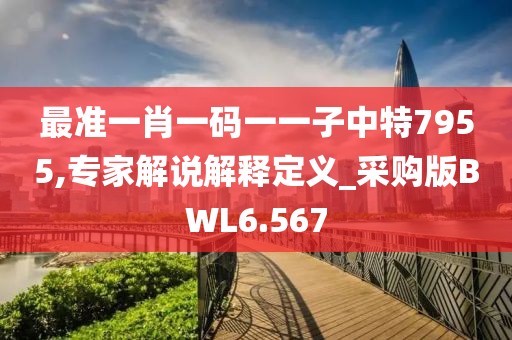 最准一肖一码一一子中特7955,专家解说解释定义_采购版BWL6.567
