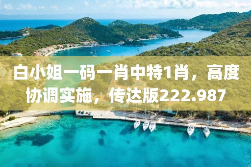 白小姐一码一肖中特1肖，高度协调实施，传达版222.987