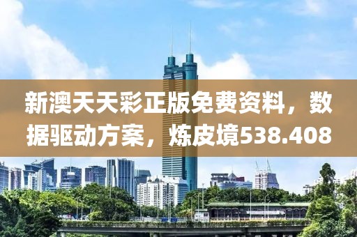 新澳天天彩正版免费资料，数据驱动方案，炼皮境538.408