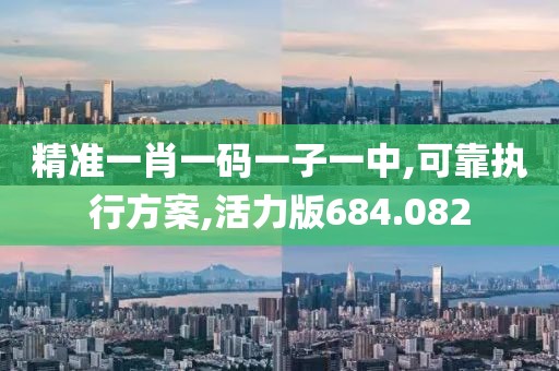 精准一肖一码一子一中,可靠执行方案,活力版684.082