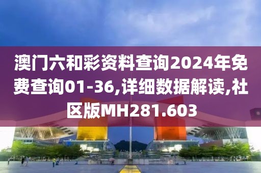 澳门六和彩资料查询2024年免费查询01-36,详细数据解读,社区版MH281.603