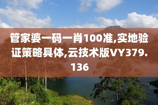 管家婆一码一肖100准,实地验证策略具体,云技术版VY379.136