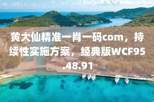 黄大仙精准一肖一码com，持续性实施方案，经典版WCF95.48.91