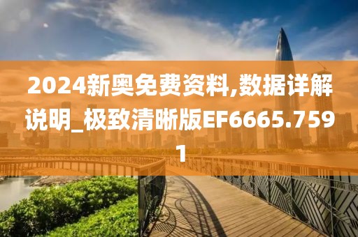 2024新奥免费资料,数据详解说明_极致清晰版EF6665.7591