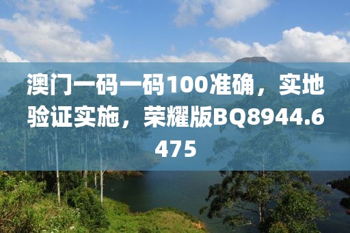 澳门一码一码100准确，实地验证实施，荣耀版BQ8944.6475