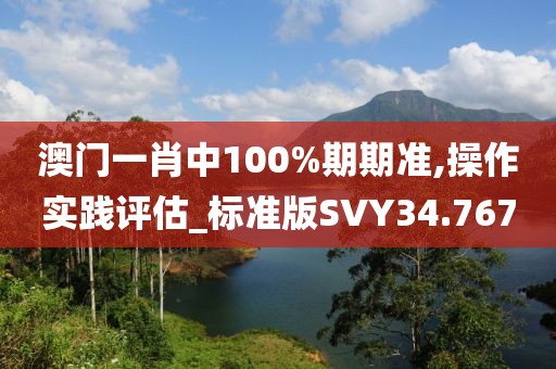 澳门一肖中100%期期准,操作实践评估_标准版SVY34.767