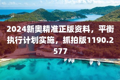 2024新奥精准正版资料，平衡执行计划实施，抓拍版1190.2577