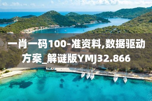 一肖一码100-准资料,数据驱动方案_解谜版YMJ32.866
